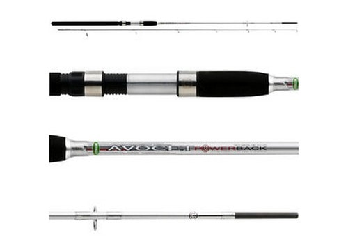 Mitchell Universe Pro Sea Bass Rod 9' 40-100g