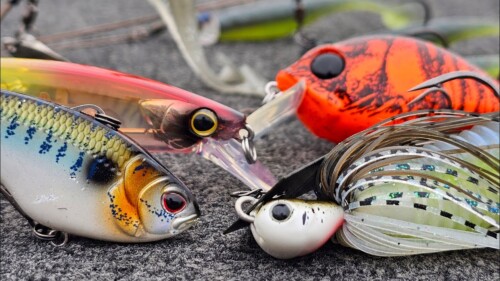 Lures & Baits