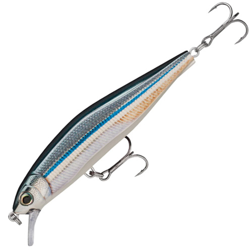 RAPALA PREC. XTREME AIR BOSS 10CM ANC.