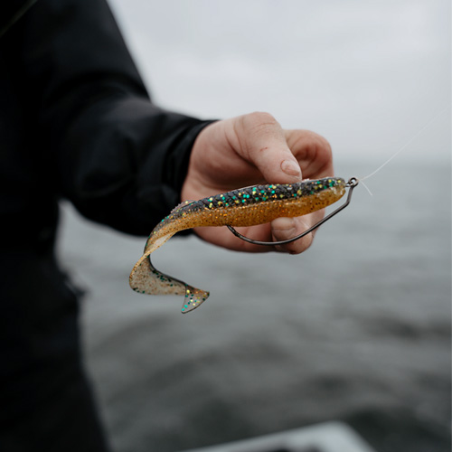 Rapala Crushcity Series